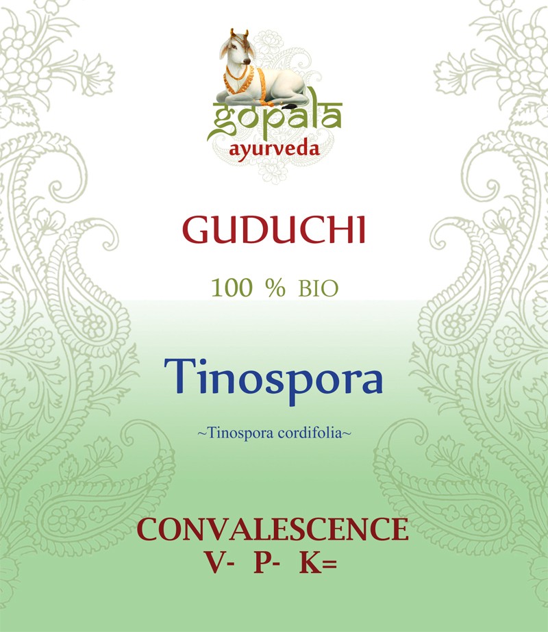 GUDUCHI (Tinospora cordifolia)  BIO Gopala A.