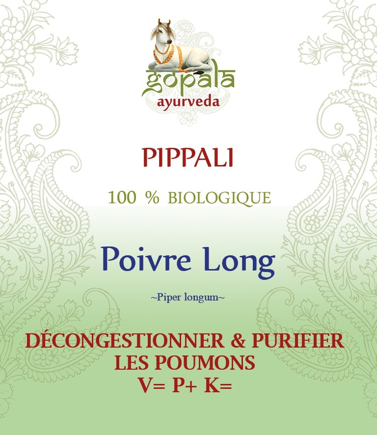 PIPPALI  (Piper longum ) BIO Gopala A.