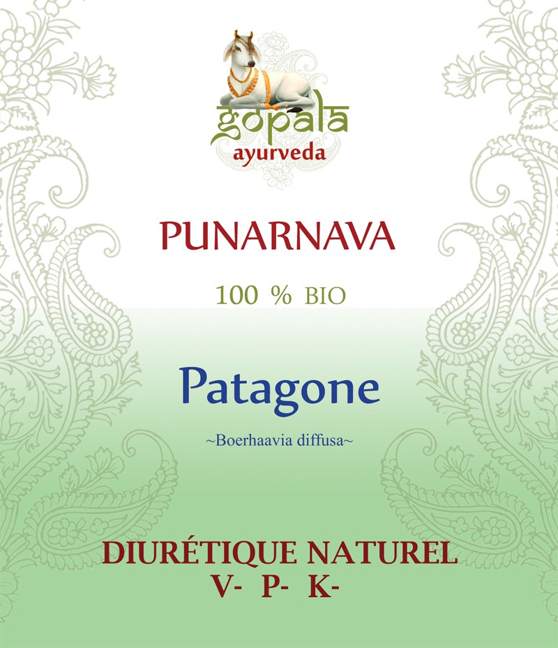 PUNARNAVA (Boerhaavia diffusa) BIO Gopala A.