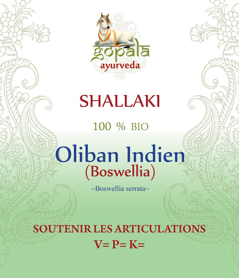 SHALLAKI ( Boswellia serrata ) BIO Gopala A.