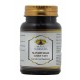 Prana Ayurveda MANJISHTADI (Manjishtadi Ghan Vati) 90 comprimés